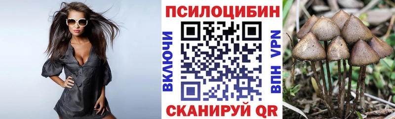 Галлюциногенные грибы GOLDEN TEACHER  Алзамай 